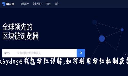 TP Babydoge钱包分红详解:如何利用分红机制获得利润